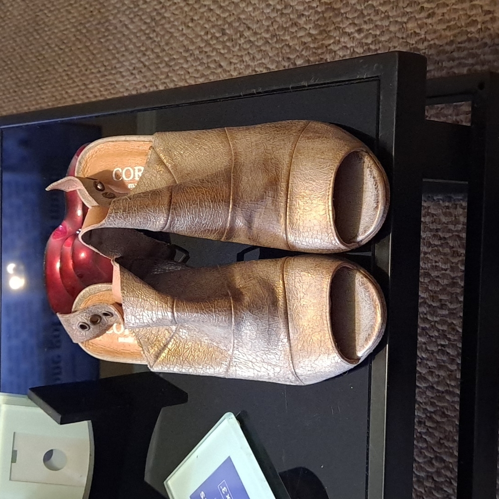 Shoe